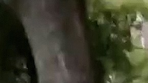 Luis Enrique Guzmán silvia pinal