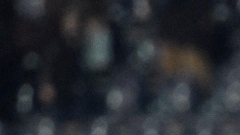 Los jugadores del Génova del mexicano Johan Vásquez celebrando después de finalizar el partido contra el Empoli.