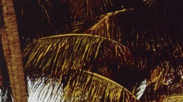 1975 Chevrolet C20 Silverado Fleetside