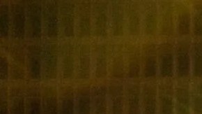 El evento de Año Nuevo del Gloria Molina Grand Park es para toda la familia y es gratis.