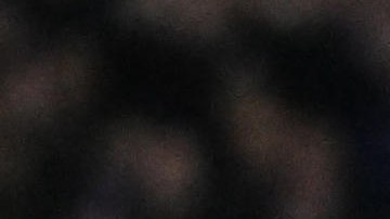 Edoardo Bove en acción durante el partido de fútbol de la Serie A entre Fiorentina e Inter de Milán en el que se desplomó sobre el campo.