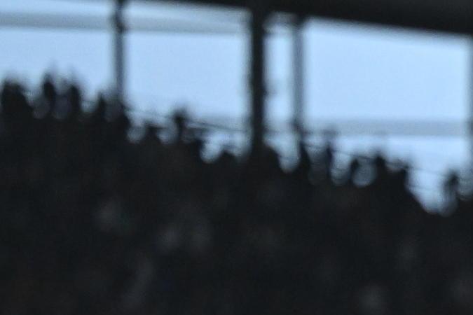Los jugadores del Fulham celebrando la anotación que selló el empate este domingo ante el Tottenham.