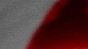 El flautista Horacio Franco aboga por el activismo a favor de las diversidad sexual.