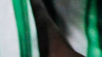 Efraín Juárez celebrando con los jugadores del Atlético Nacional tras vencer al Deportes Tolima (2-0) y coronarse campeón del fútbol colombiano.