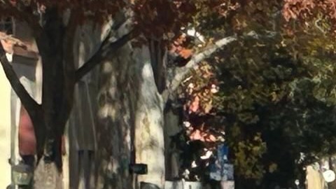 En Sacramento, inmigrantes de todo California piden a legisladores