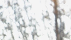 Las prisiones donde ICE lleva a inmigrantes son operadas por empresas privadas, principalmente.