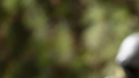 Hezbolá reivindica primer ataque contra Israel tras tregua