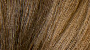 Estudios vincularon la exposición a ftalatos con un aumento del 25% en el riesgo de hiperactividad en adolescentes.