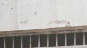 Familiares buscan pistas sobre presos en la cárcel de Sednaya (10 de diciembre de 2024).