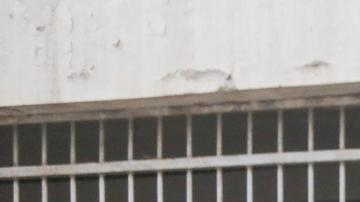 Familiares buscan pistas sobre presos en la cárcel de Sednaya (10 de diciembre de 2024).