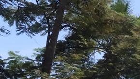 Otros periodistas resultaron heridos y fueron atendidos en otro hospital público de Puerto Príncipe