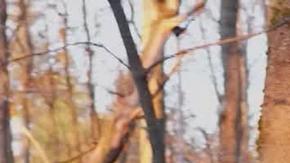 Un tanque militar en el frente fronterizo de Kursk, donde un jefe militar estadounidense dijo el martes (17.12.202) que "cientos" de soldados norcoreanos fueron eliminados.