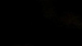 Un ratón espinoso, hallazgo de la expedición RAP en el Alto Mayo, Perú.