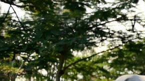 Se esperaban ceremonias emotivas en toda Asia para recordar a las 220,000 personas que murieron hace dos décadas.