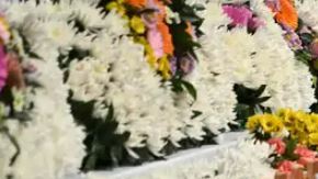 Identifican a 140 de las víctimas del accidente de Jeju Air