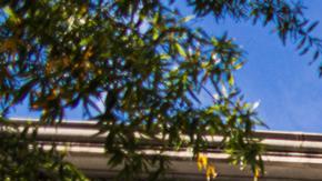 Tesoro de EE.UU. acusa a China de ciberataque a sus sistemas