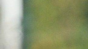 Cristiano Ronaldo ha compartido ya varios videos con la súper estrella de las redes sociales, Mr. Beast.