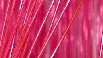 Anahí y Dulce María