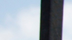 El grupo más afectado por las redadas y situaciones de odio han sido los latinos.