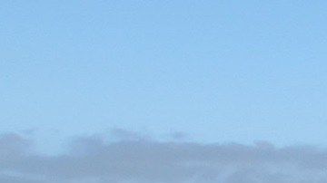 Se estima que el 40% de los trabajadores agrícolas son indocumentados.