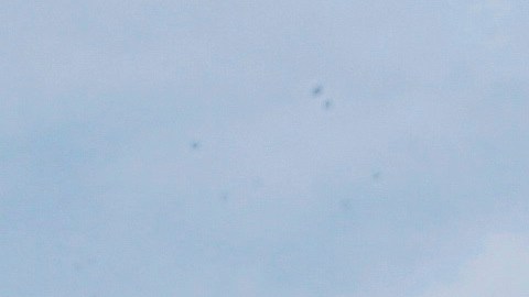 Varios de los drones reportados en la Costa Este son de uso comercial, dijeron autoridades.