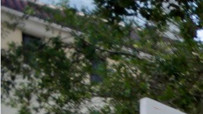 Los 'Dreamers' han enfrentado diversos desafíos legales sobre protecciones federales.