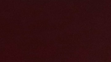 Pedro Perlaza durante un partido de la Copa Libertadores.