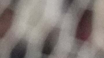 Montiel fue una figura importante en la Copa Mundial de Qatar.