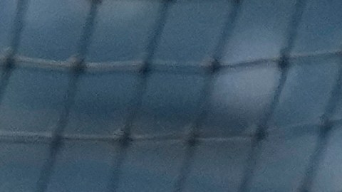 El mexicano, de origen cubano, Randy Arozarena, durante una práctica de bateo antes de un partido de los Seattle Mariners la pasada temporada de la MLB.