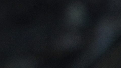 El FC Barcelona no ha perdido contra el Borussia Dortmund.
