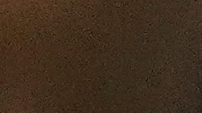 Riqui Puig ha destacado en el centro del campo toda la campaña.