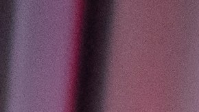 Trump respalda a Mike Johnson como presidente de la Cámara de Representantes