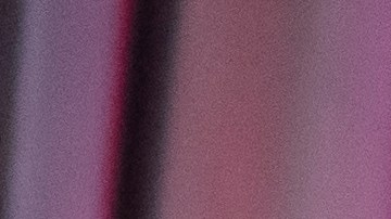 Trump respalda a Mike Johnson como presidente de la Cámara de Representantes