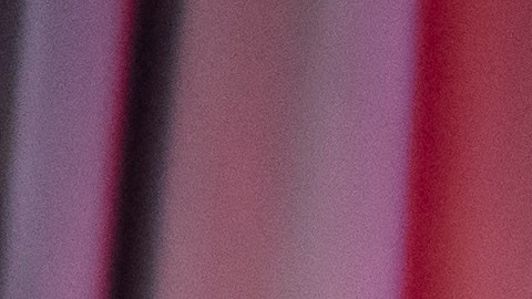 Trump respalda a Mike Johnson como presidente de la Cámara de Representantes