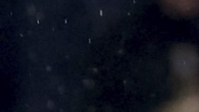 Cristiano Ronaldo, capitán de la selección de Portugal.