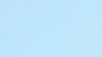 Trump responde a las críticas sobre la influencia de Musk: "Él no asumirá la presidencia"