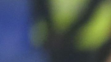 Botafogo se devuelve a casa con las manos vacías.