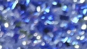 Henry Martín con el título del Apertura 2024.