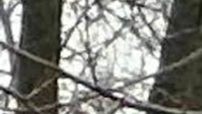 Tiroteo en escuela de Madison, Wisconsin, deja al menos tres muertos y varios heridos