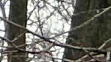 Tiroteo en escuela de Madison, Wisconsin, deja al menos tres muertos y varios heridos