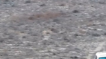 En el impacto del avión murieron 38 personas.