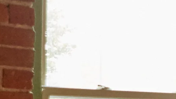 En enero de 2024, Airbnb lanzó el Consejo de Vivienda de Airbnb como parte de su compromiso de asociarse con gobiernos y comunidades.