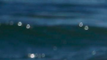 A body surfer swims through a wave at Seal Beach, Calif., Tuesday, Aug. 26, 2014. Residents in Southern California coastal areas filled sandbags and built sand berms Tuesday to ward against possible flooding from big and potentially damaging surf spawned by Hurricane Marie off Mexico's Pacific coast. A large southerly swell was expected to produce large waves, rip currents and strong longshore currents in Los Angeles and Ventura counties through Thursday, according to the National Weather Service. (AP Photo/Nick Ut)