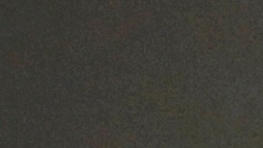 Blinken rinde homenaje a Carter por su vida dedicada al servicio público y humanidad