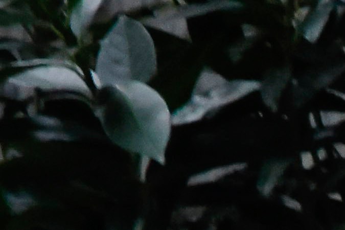 Thompson, oriundo de Minesota, era el CEO de UnitedHealthcare, la mayor aseguradora privada de EE.UU.