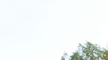 Así es el elegante Bentley Flying Star