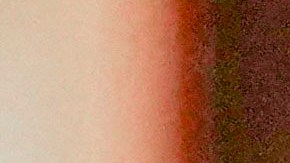 People wear face masks in a public bus in Frankfurt, Friday, Nov. 19, 2021. The government announced that the hospitalization rate will decide about further restrictions to avoid the outspread of the coronavirus. (AP Photo/Michael Probst)