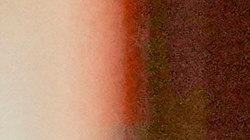 People wear face masks in a public bus in Frankfurt, Friday, Nov. 19, 2021. The government announced that the hospitalization rate will decide about further restrictions to avoid the outspread of the coronavirus. (AP Photo/Michael Probst)