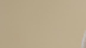 Joe Biden, presidente estadounidense