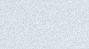 Bruce Willis y Emma Heming